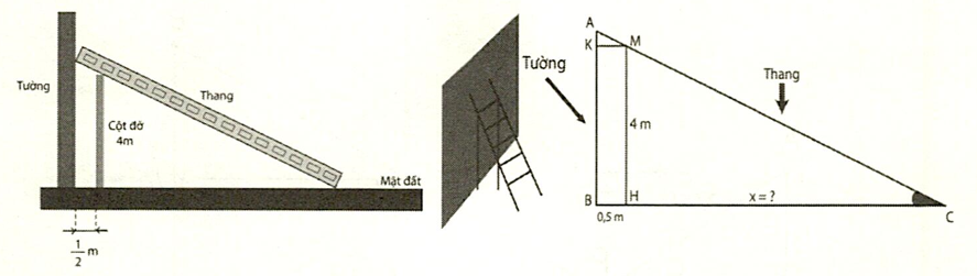Hình minh họa câu hỏi
